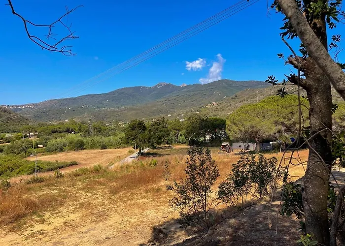 Tra Mare E Campagna - Procchio